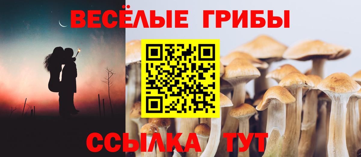 Новочеркасск  что такое наркотик  Вход с VPN  Галлюциногенные грибы мицелий 